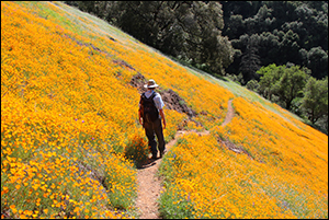 Windy Point Trail