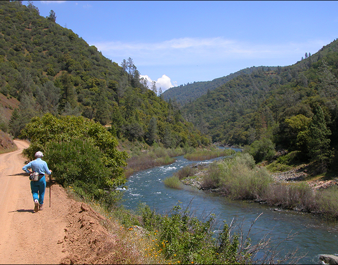 Trail to Codfish Falls