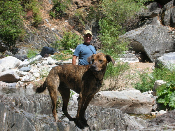 Ron Gould and dog